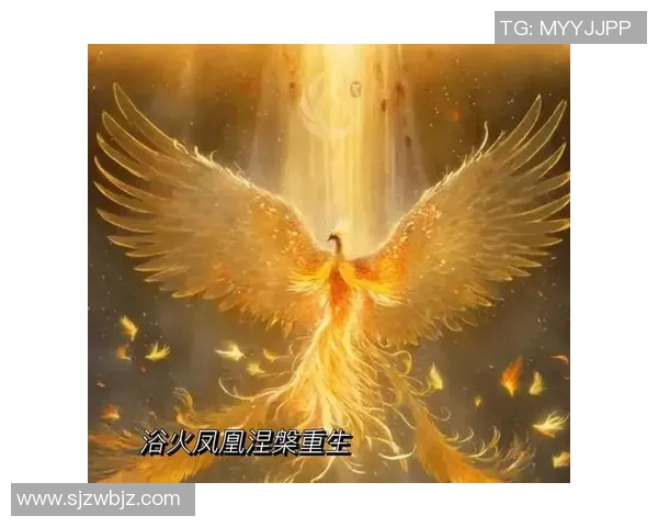 极限运动的蜕变之路：探寻北京极限运动队的成长与挑战